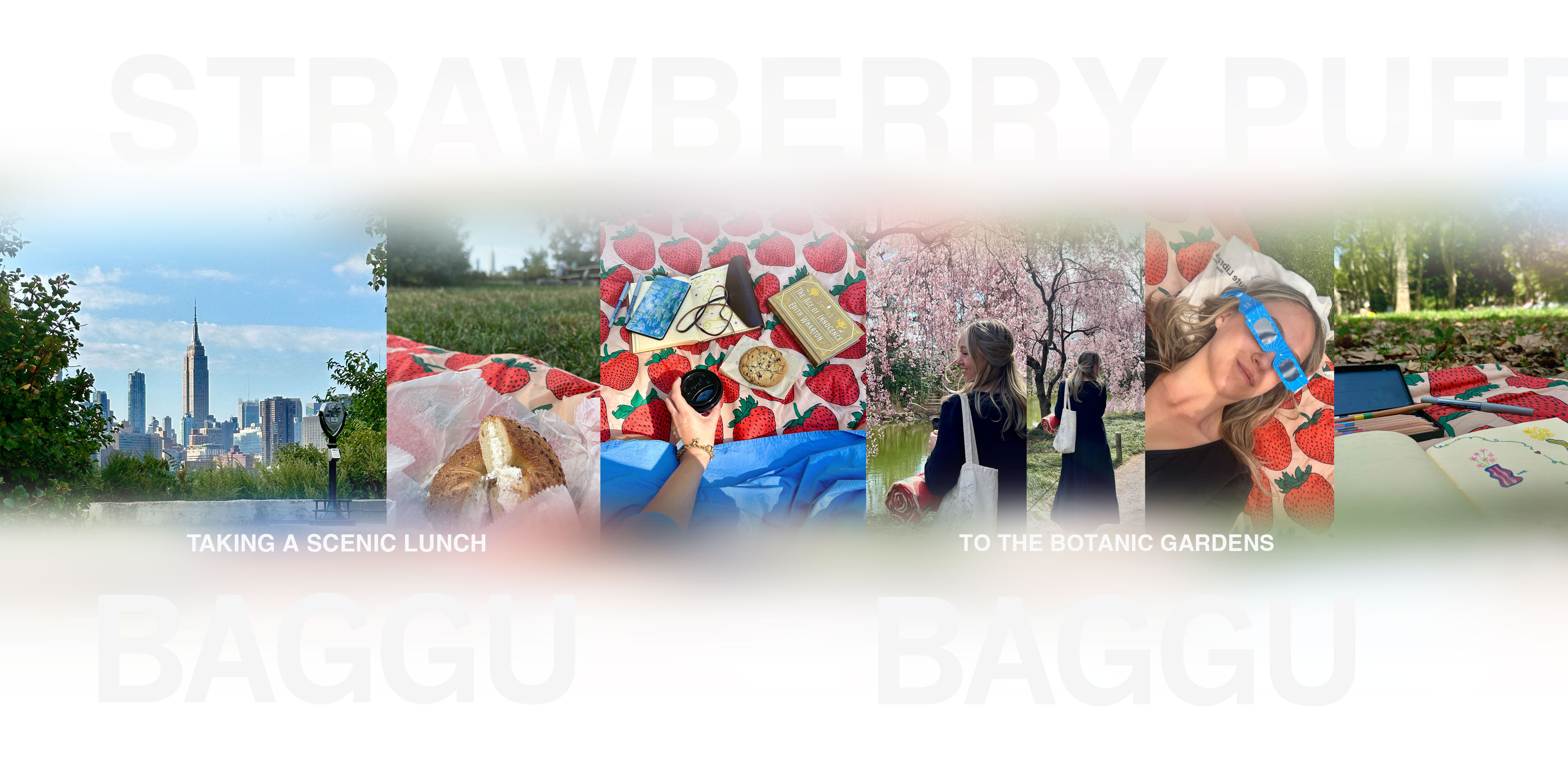 baggu-strawberry-in-wild-17