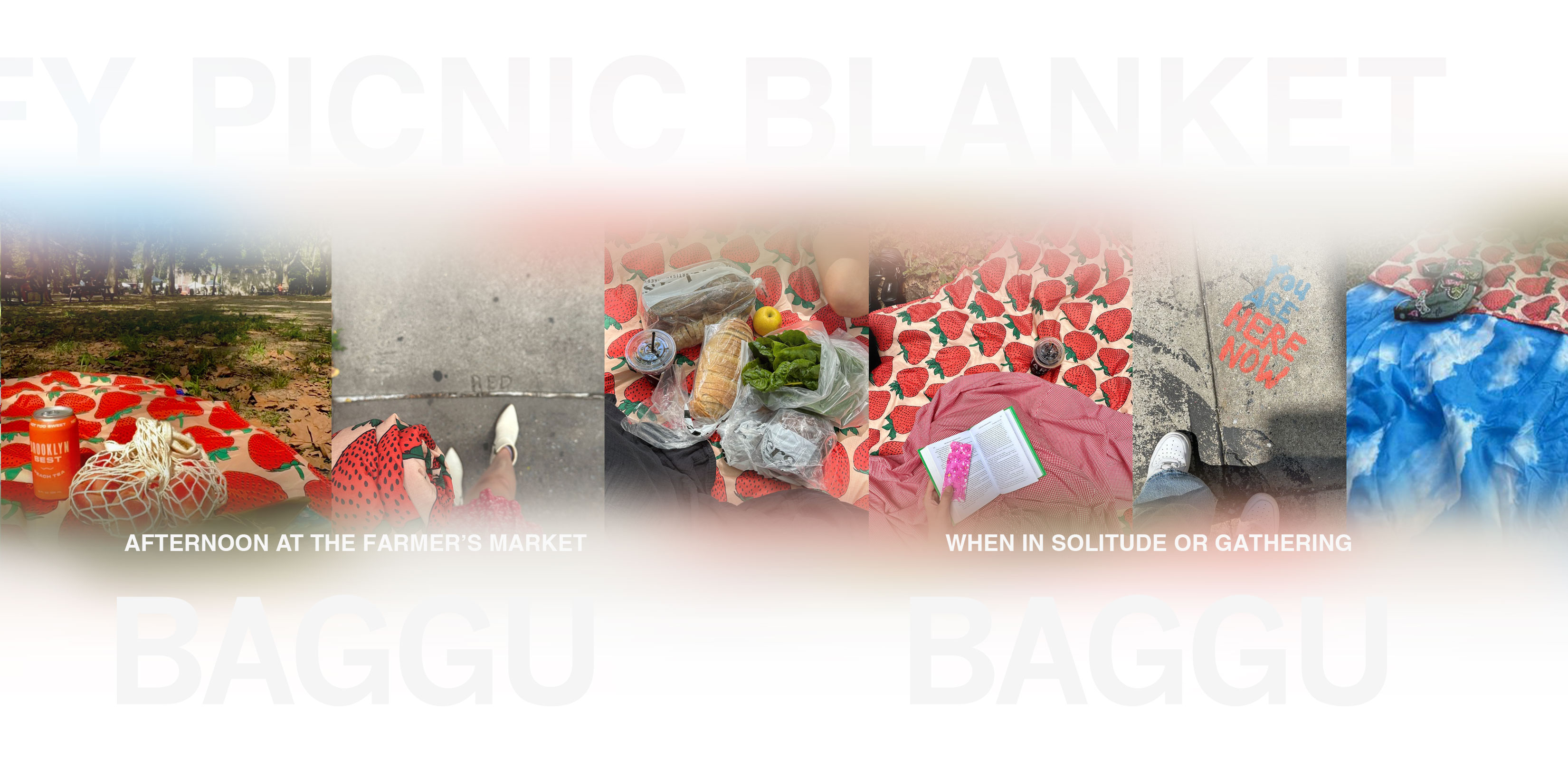 baggu-strawberry-in-wild-18