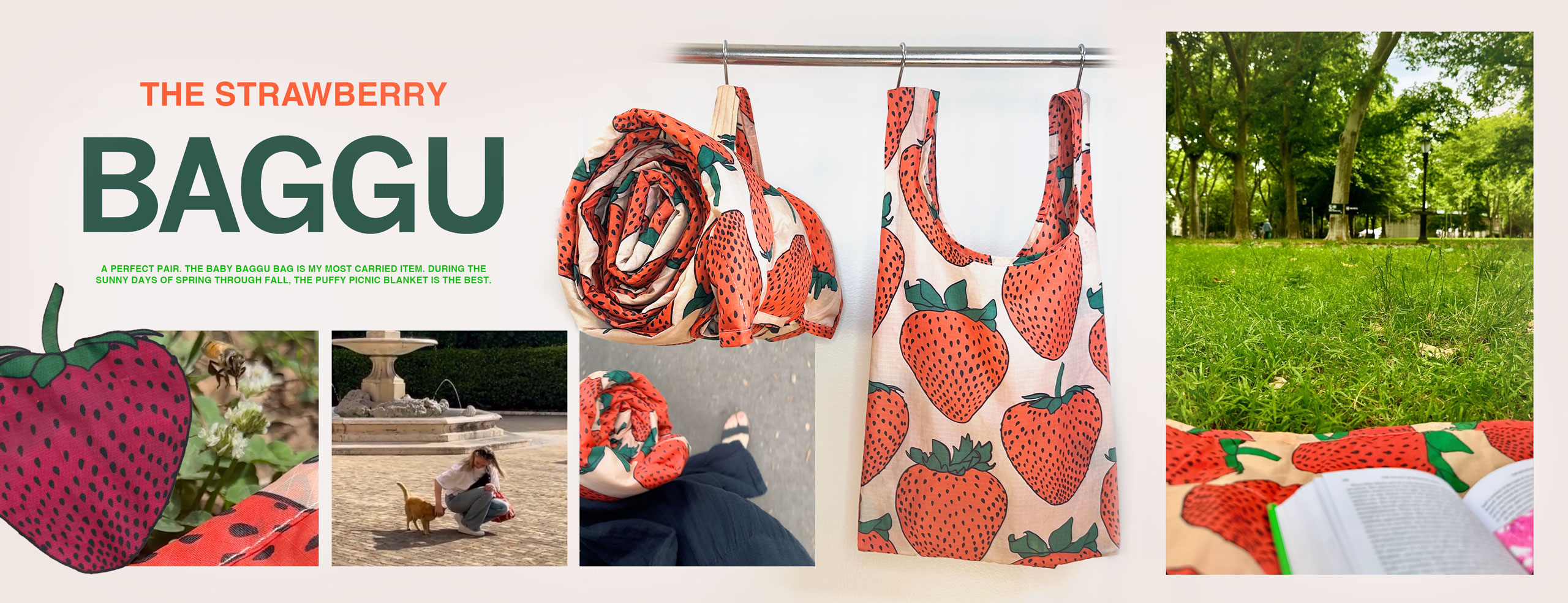 strawberry-baggu-banner-2a